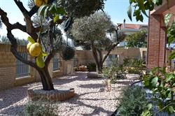 Bed and Breakfast Colle Acquabella, Ortona orari di apertura