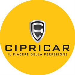 CipriCar Group S.A.S, Nichelino orari di apertura