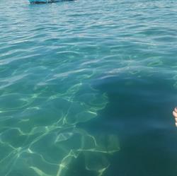 Viva Vacanze Casa Vacanze Porto Cesareo, orari di apertura