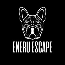 Eneru Escape Room Cinecittà, Roma orari di apertura