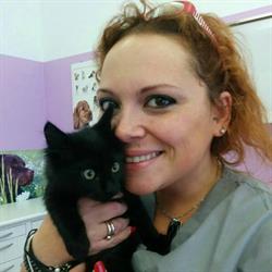 Ambulatorio Veterinario Città di Bussero, orari di apertura