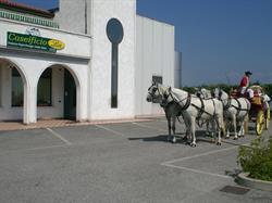 Caseificio Lia, Ormelle orari di apertura