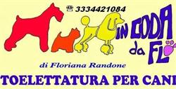 In Coda Da Flo, Militello in Val di Catania orari di apertura