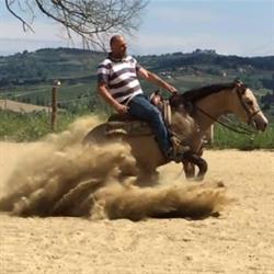 Centro Equestre Bellavista ASD, Cerreto Guidi orari di apertura
