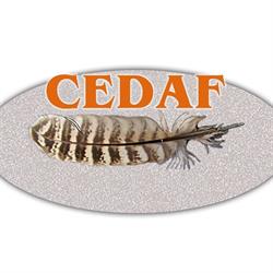 Centro Didattica Ambientale Faunistica Cedaf, Firenze orari di apertura