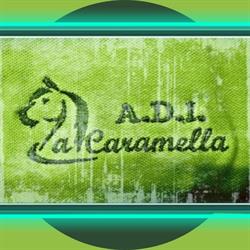 A.d. Ippica La Caramella, Alpignano orari di apertura