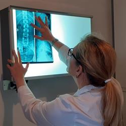 Centro Chiropratico Fusion, Milano orari di apertura