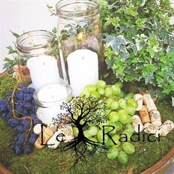 Ristorante Le Radici, Viareggio orari di apertura