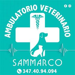 Ambulatorio Veterinario Sammarco, Pizzo orari di apertura
