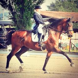 ASD Garavella Riding Club, Boffalora d'Adda orari di apertura