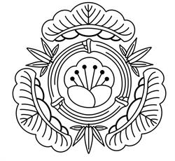 Aikido Shochikubai Dojo, Roma orari di apertura