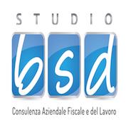 Studio BSD - Consulenza aziendale, fiscale e del lavoro, Pavia orari di apertura
