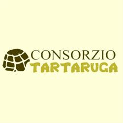 Consorzio Tartaruga, Palermo orari di apertura