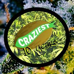 Craziest growshop Torino, orari di apertura