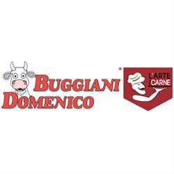 Buggiani Domenico Srl, San Miniato orari di apertura