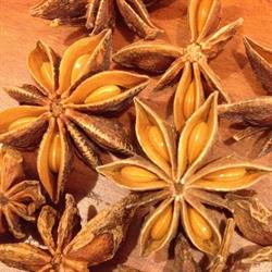 erboristeria AniceStellato, Alzano Lombardo orari di apertura
