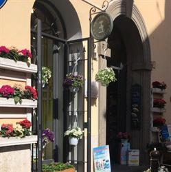 Erboristeria L'angolo verde, Nettuno orari di apertura