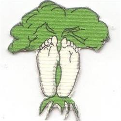 angolo natura 3, Seriate orari di apertura