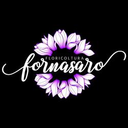 Floricoltura Fornasaro, Arquà Polesine orari di apertura