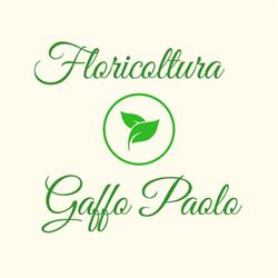 Gaffo Paolo vivaio creazione e manutenzione giardini, floricoltura, Montebelluna orari di apertura
