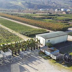 Eurogarden di Quinzi Roberto, Grottammare orari di apertura