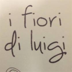 I Fiori Di Luigi, Grumello del Monte orari di apertura