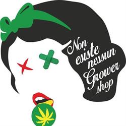 Grower Shop, San Vito dei Normanni orari di apertura