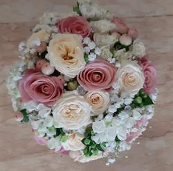 Fiori & Dintorni, Lonigo orari di apertura
