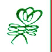 Fiori Secchi Caruso, San Nicandro Garganico orari di apertura
