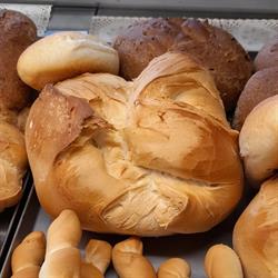 Forno Pane e Delizie, Reggio Emilia orari di apertura
