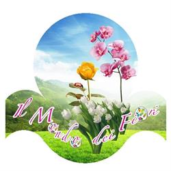 Il Mondo Dei Fiori, Luco dei Marsi orari di apertura