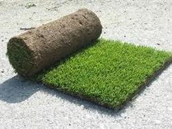 Non Solo Verde - Prato a rotoli e Servizi di Giardinaggio, Piobesi Torinese orari di apertura