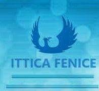 Ittica Fenice Soc Coop, San Benedetto del Tronto orari di apertura