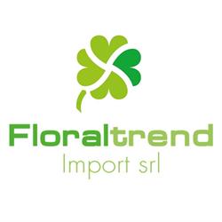 Floraltrend Import srl, Padova orari di apertura