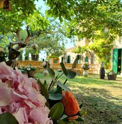 FIORI E DINTORNI, Calatafimi orari di apertura
