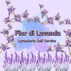 Fior Di Lavanda Lavanderia, Pistoia orari di apertura