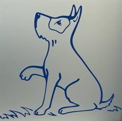 Croce Azzurra - Ambulatorio Veterinario, Amelia orari di apertura