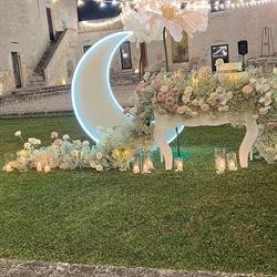 Coriandoli, Gravina in Puglia orari di apertura