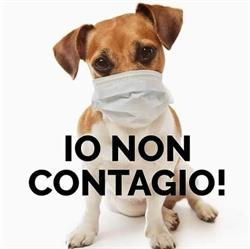 Qua la Zampa snc, Casalbordino orari di apertura