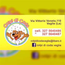 Colpi Di Coda, Veglie orari di apertura
