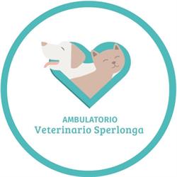 Ambulatorio Veterinario Sperlonga, orari di apertura