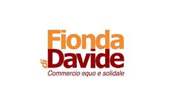 la fionda di Davide, Rovigo orari di apertura
