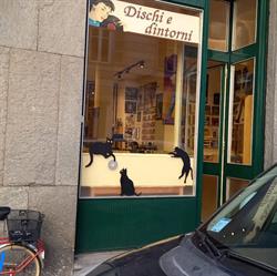 DISCHI & DINTORNI, Torino orari di apertura