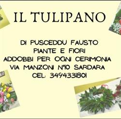 Fiori e Piante Il Tulipano di Pusceddu Fausto, Sardara orari di apertura