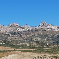 Azienda agricola Nicolosi Salvatore, Caltabellotta orari di apertura