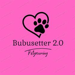 Bubu-setter, Massarosa orari di apertura