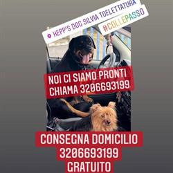 Hepp's Dog Silvia Toelettatura, Collepasso orari di apertura