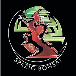 Spazio Bonsai, Cesena orari di apertura