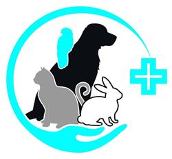 Ambulatorio Veterinario Castelnuovo, Castelnuovo Don Bosco orari di apertura