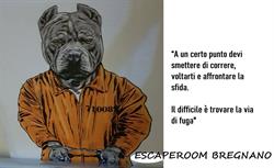 Escape Room Bregnano, orari di apertura